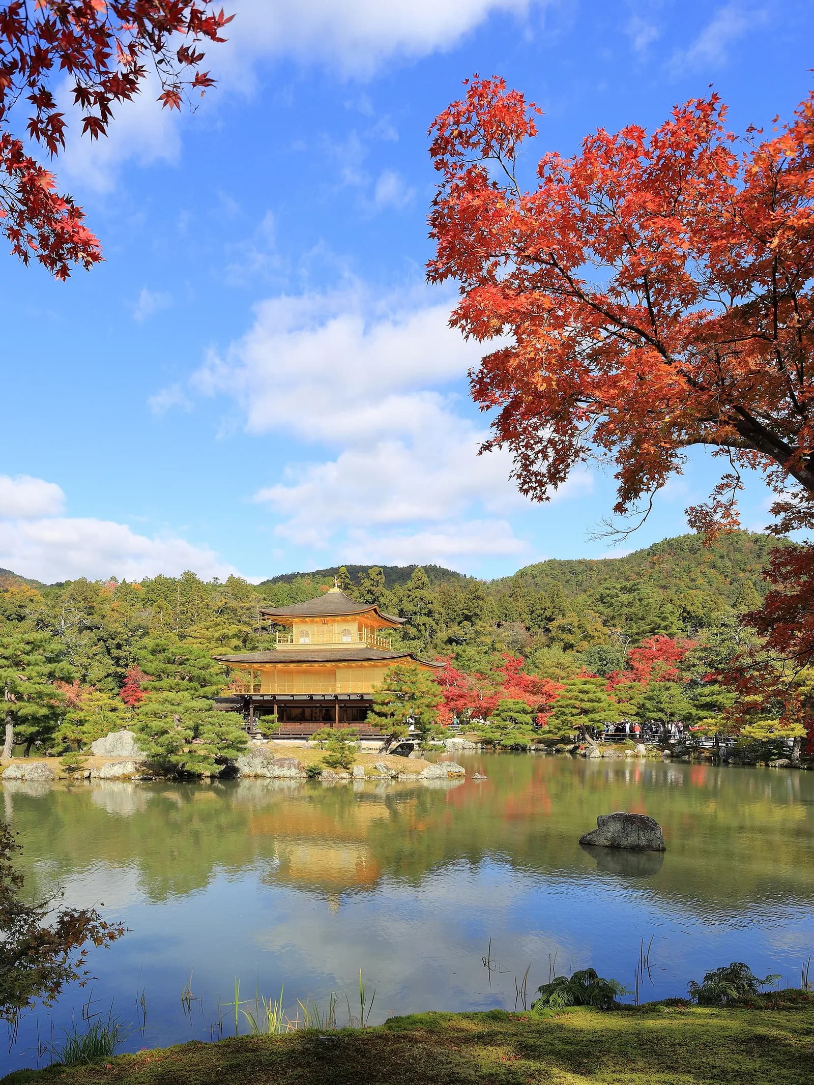 Kinkaku-ji (Golden Pavilion)