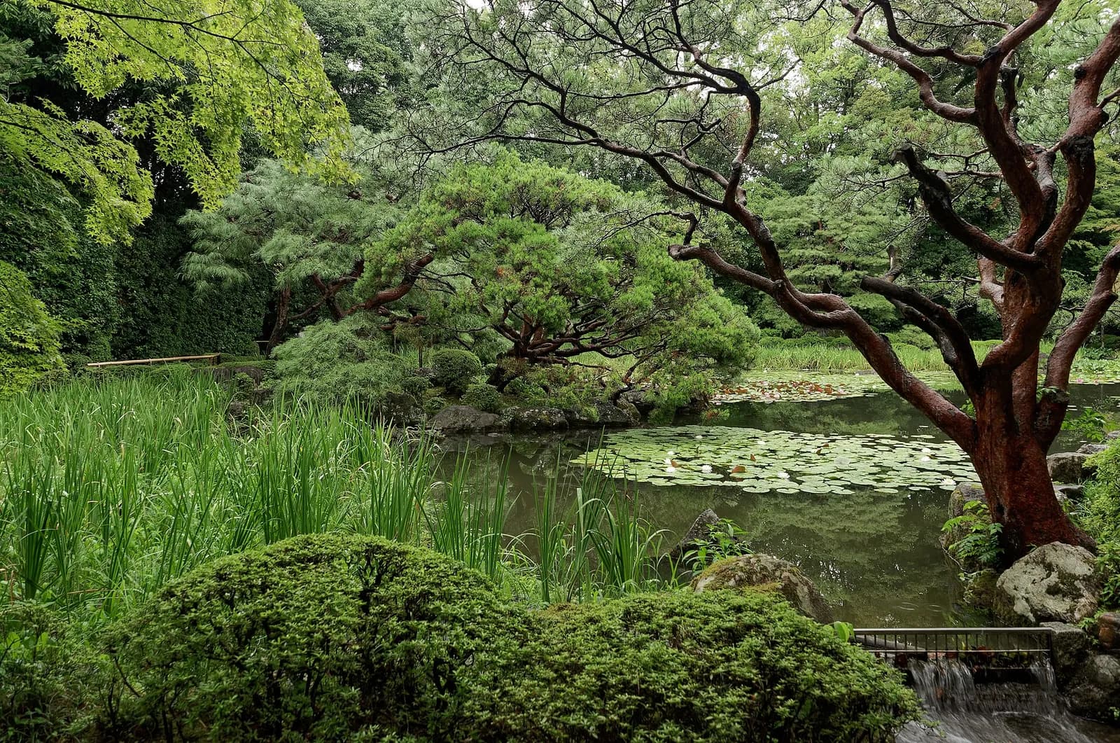 Heian Shrine