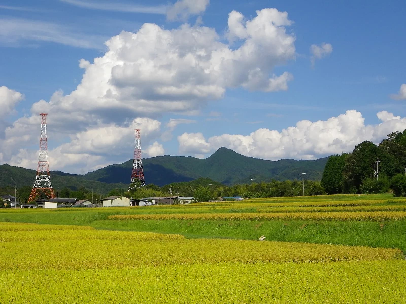 Mount Misen