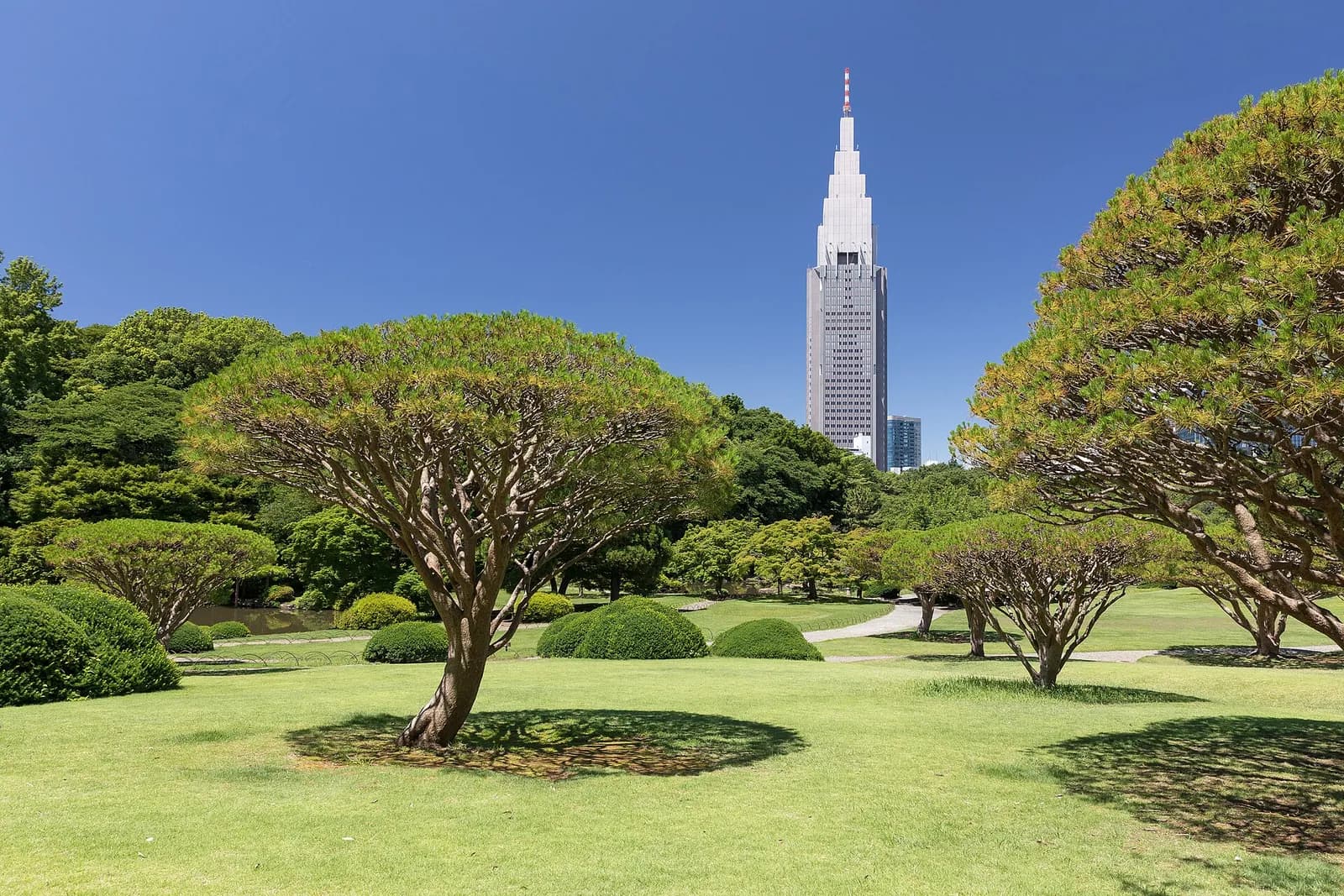 Yoyogi Park