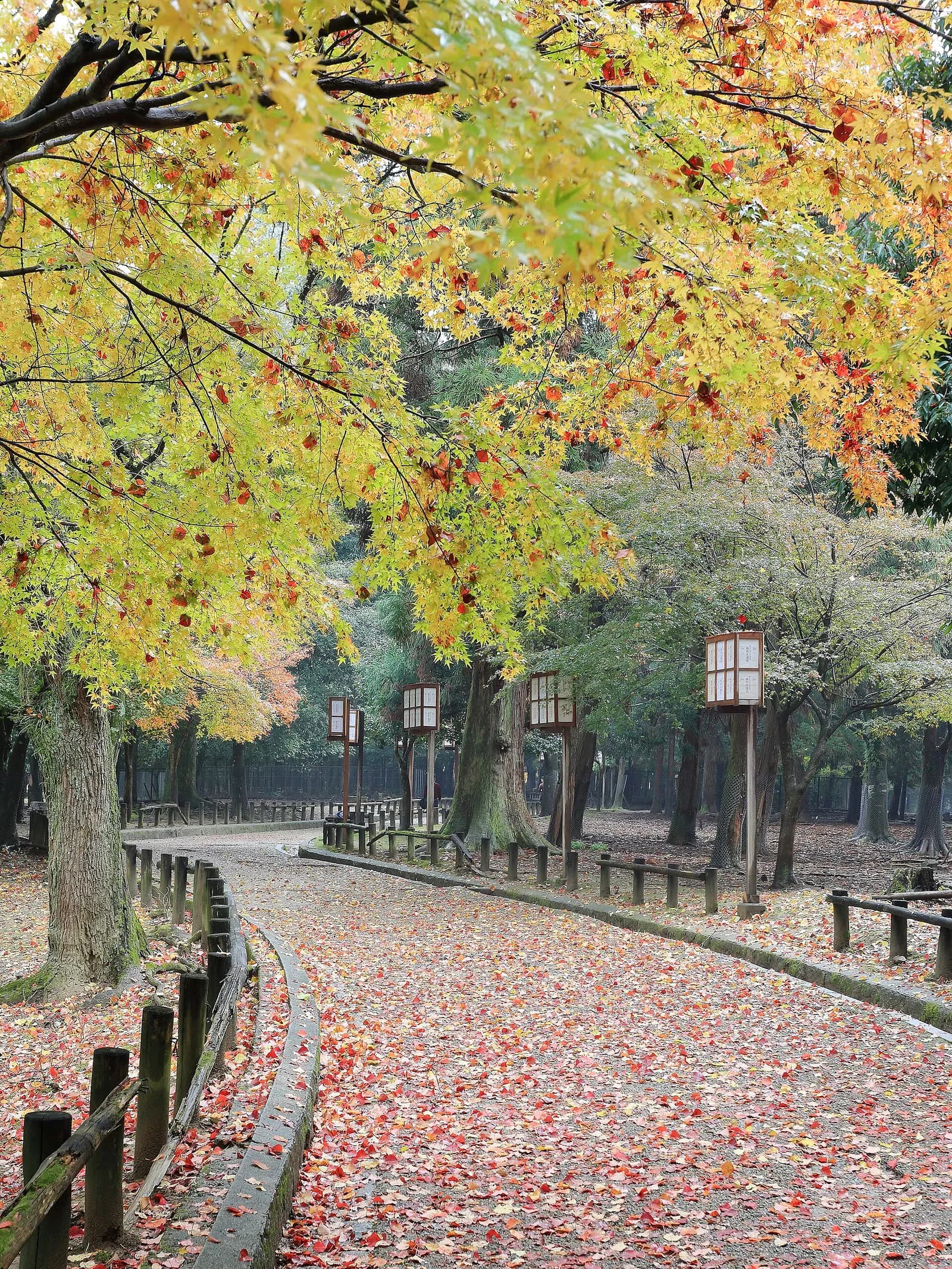 Nara