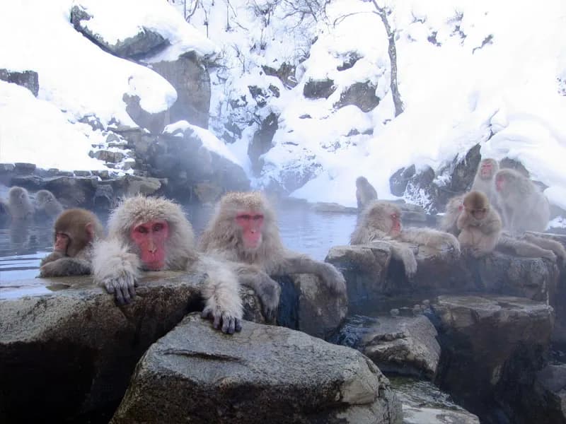 Noboribetsu Jigokudani