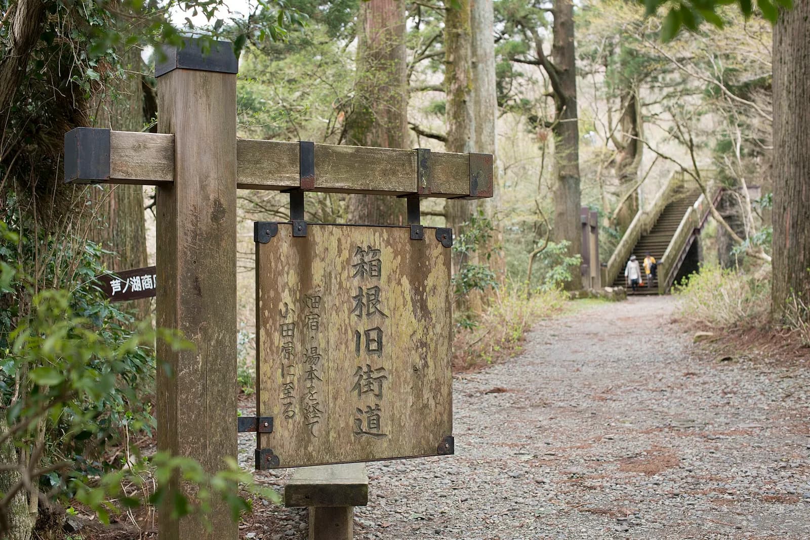 Tokyo → Hakone Day Trip