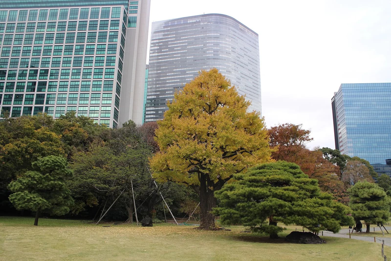 Hama-rikyū Gardens